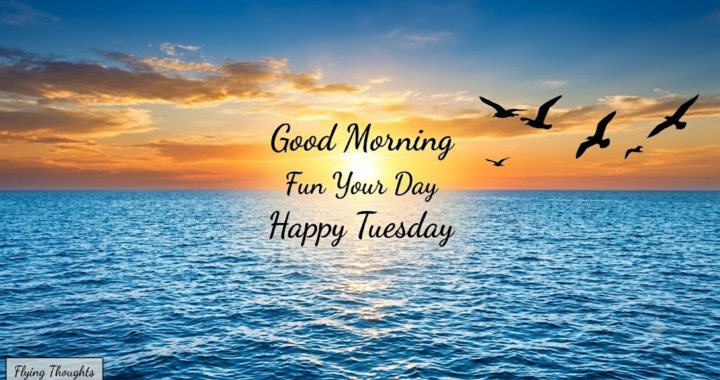 encouragement positive good morning happy tuesday