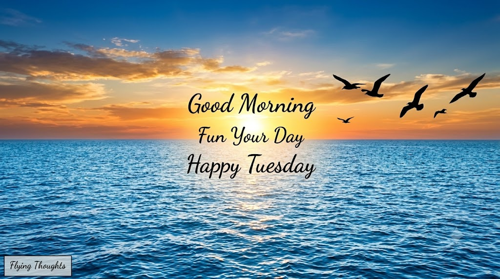 encouragement positive good morning happy tuesday