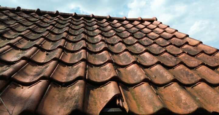 How Broken Shingles Lead to Costly Repairs